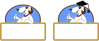 mk体育入口-校园体育节活动对学生参与度的促进作用，学校体育节活动描述