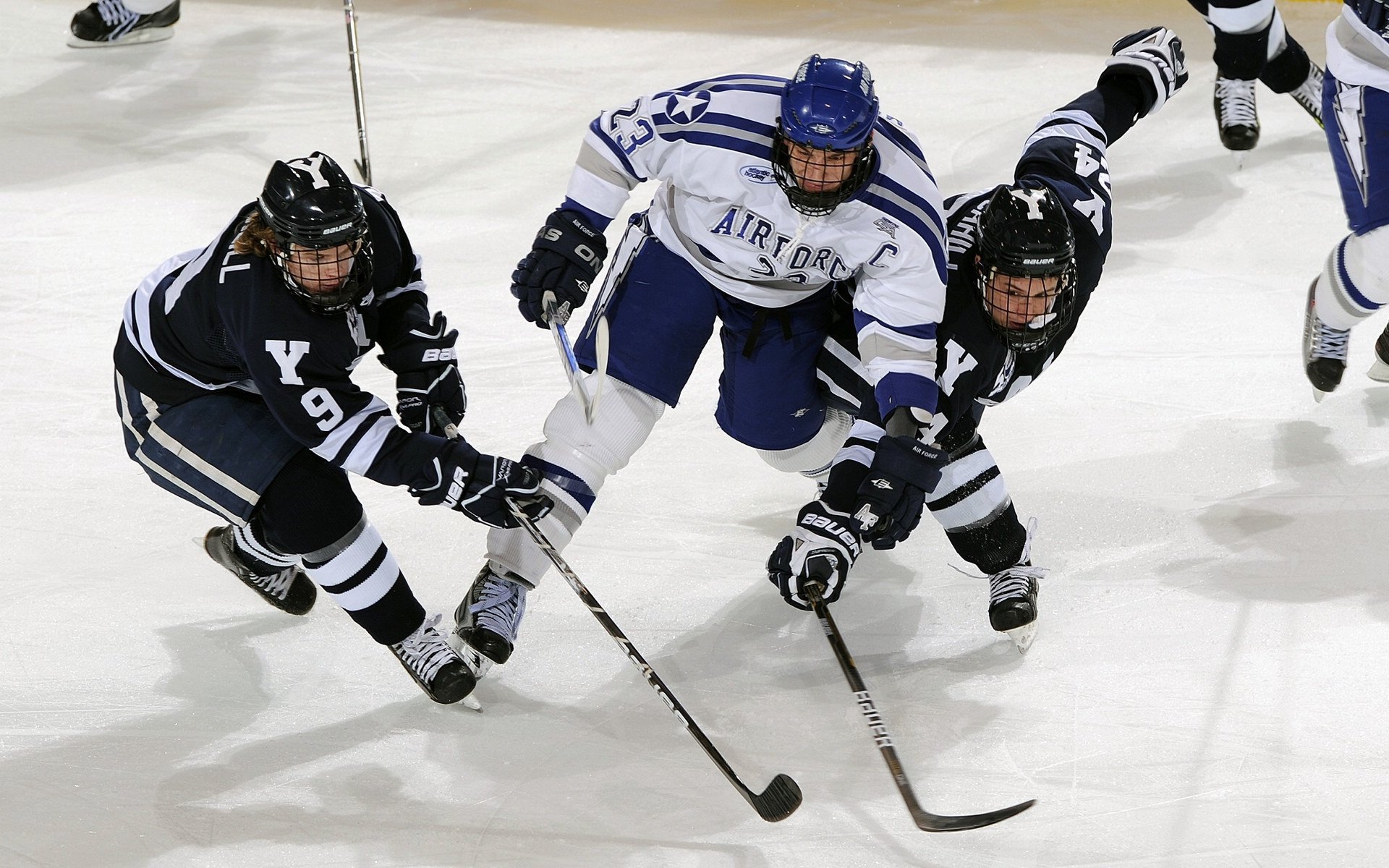 mk体育官网首页-极限运动赛事安全规范化管理落地，极限运动展会